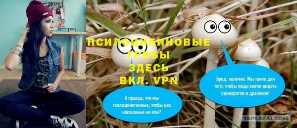 MESCALINE Алзамай